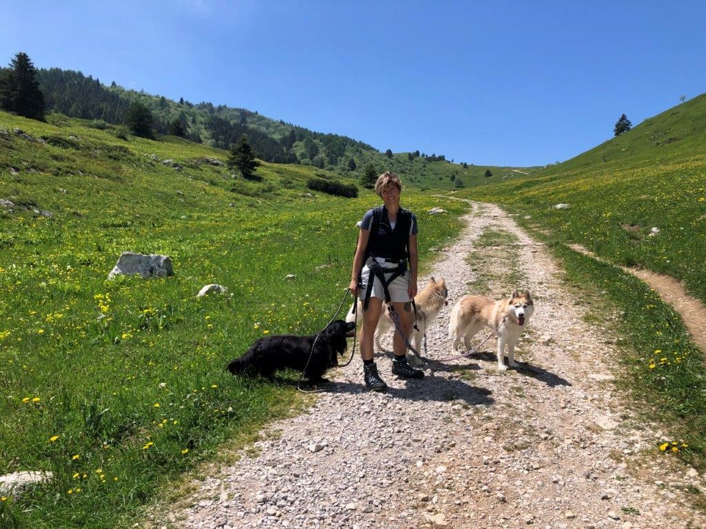 Urlaub-mit-Hund: Verschiedenste Wanderwege für große und kleine Pfoten. - Hotel Sport
