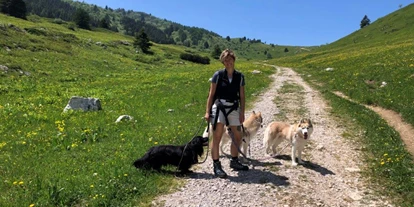Hundehotel - Deutschnofen - Verschiedenste Wanderwege für große und kleine Pfoten. - Hotel Sport
