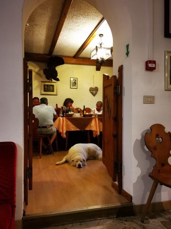 Urlaub-mit-Hund: Den Abend bei einem gemütlichen Essen im hauseigenen Restaurant ausklingen lassen und einfach mal entspannen. - Hotel Sport
