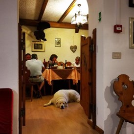Urlaub-mit-Hund: Den Abend bei einem gemütlichen Essen im hauseigenen Restaurant ausklingen lassen und einfach mal entspannen. - Hotel Sport