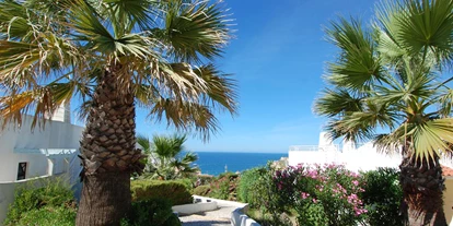 Hundehotel - Preisniveau: günstig - Monte Dourado Flat