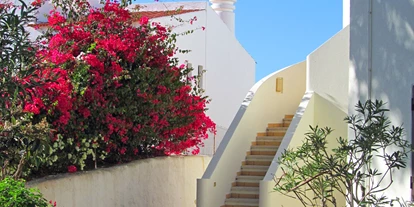 Hundehotel - Preisniveau: günstig - Monte Dourado Flat