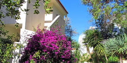 Hundehotel - Preisniveau: günstig - Monte Dourado Flat