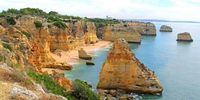 Hundehotel - Preisniveau: günstig - Monte Dourado Flat