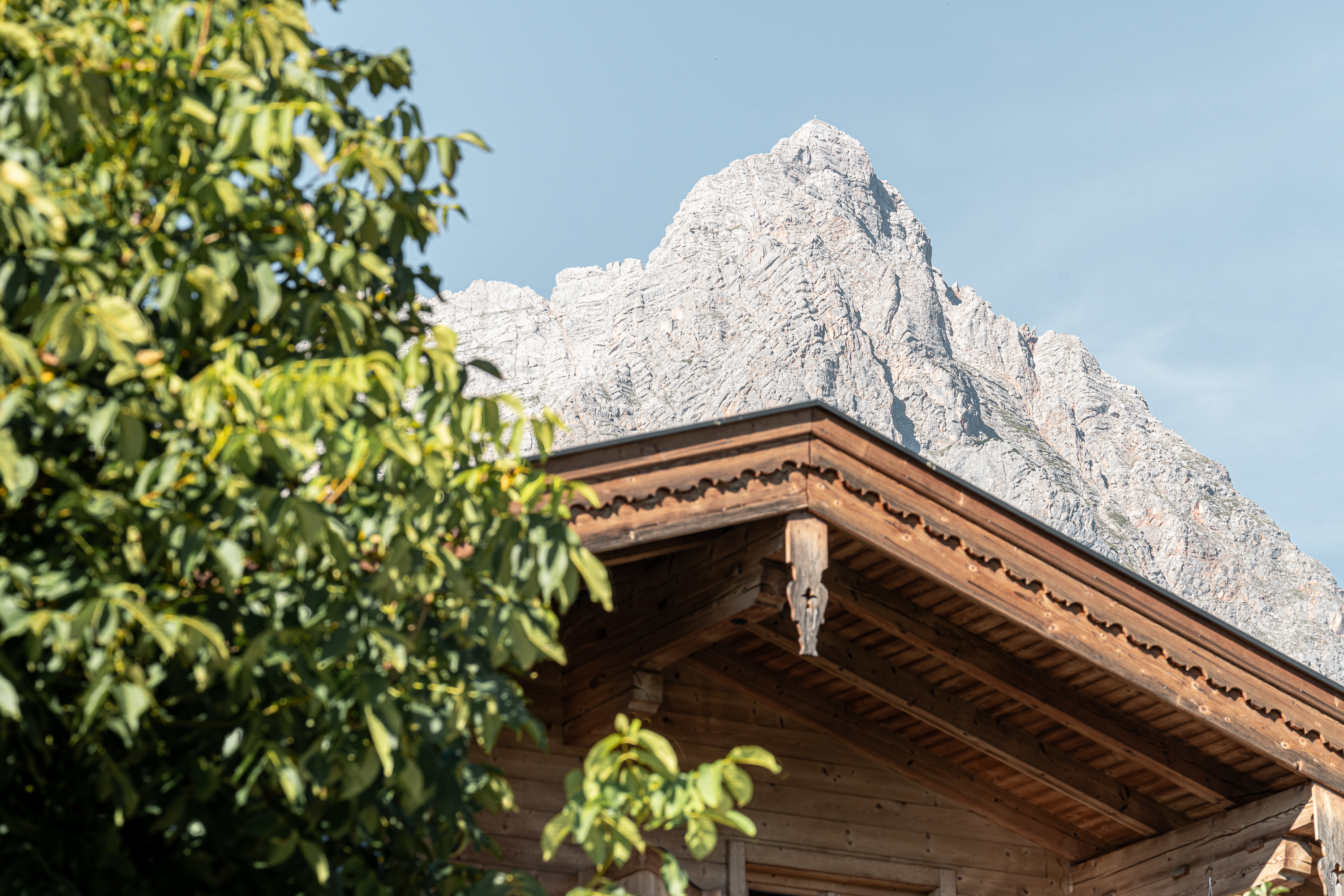 Urlaub-mit-Hund: Dem Steinernen Meer nahe ... - Boutique-Appartements Bewegte Berge