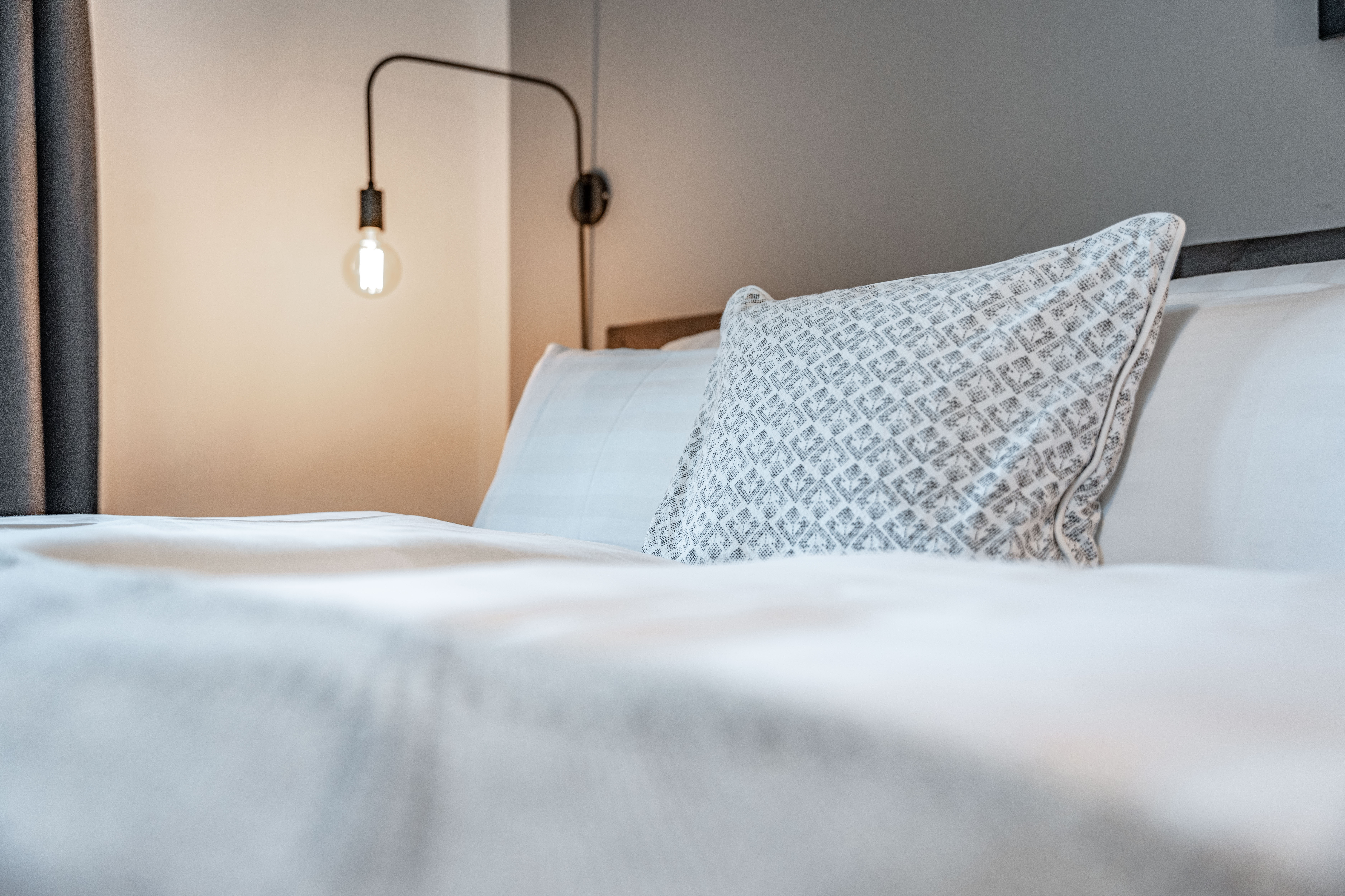 Urlaub-mit-Hund: Detailfoto Schlafen - Boutique-Appartements Bewegte Berge