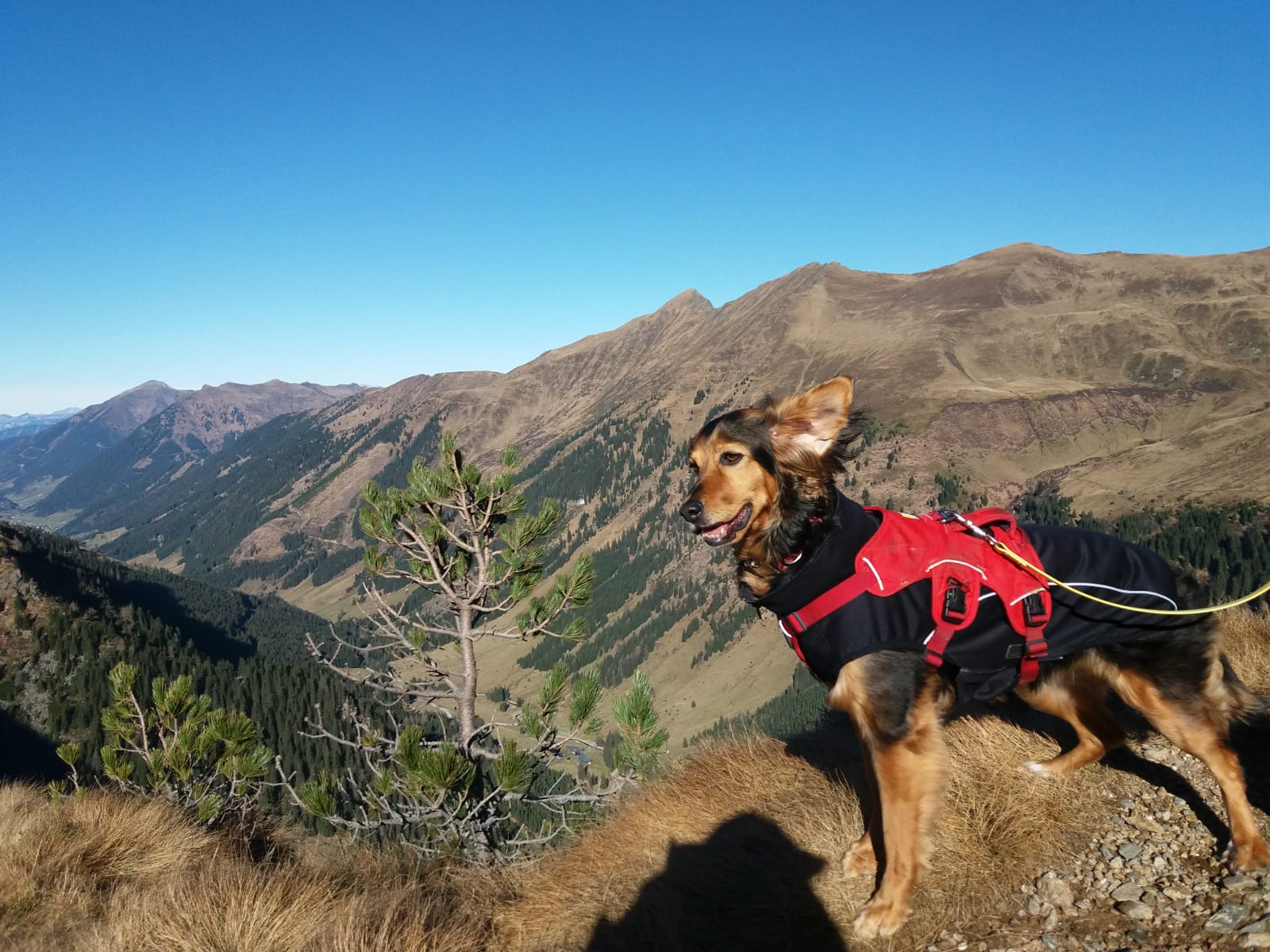 Haus Mauken Ausflüge mit Hund Hundewanderungen