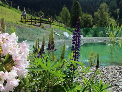 Hundehotel - Pools: Schwimmteich - Haus Mauken
