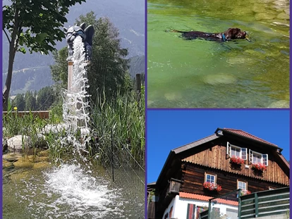 Hundehotel - Pools: Schwimmteich - Haus Mauken