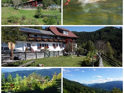 Hundehotel - Pools: Schwimmteich - Haus Mauken