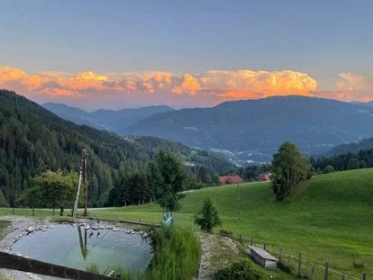 Hundehotel - Pools: Schwimmteich - Haus Mauken