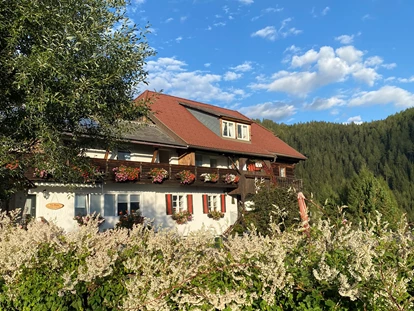 Hundehotel - Pools: Schwimmteich - Haus Mauken