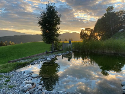 Hundehotel - Pools: Schwimmteich - Haus Mauken