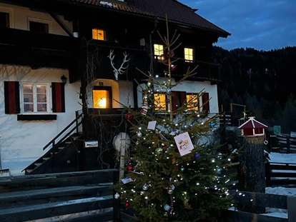 Hundehotel - Pools: Schwimmteich - Haus Mauken