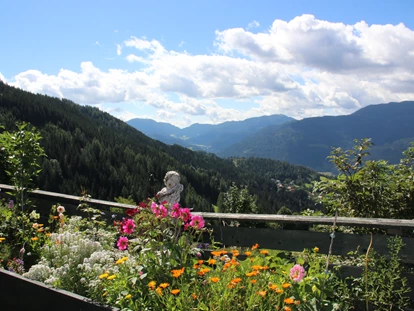 Hundehotel - Pools: Schwimmteich - Haus Mauken