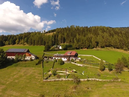 Hundehotel - Pools: Schwimmteich - Haus Mauken