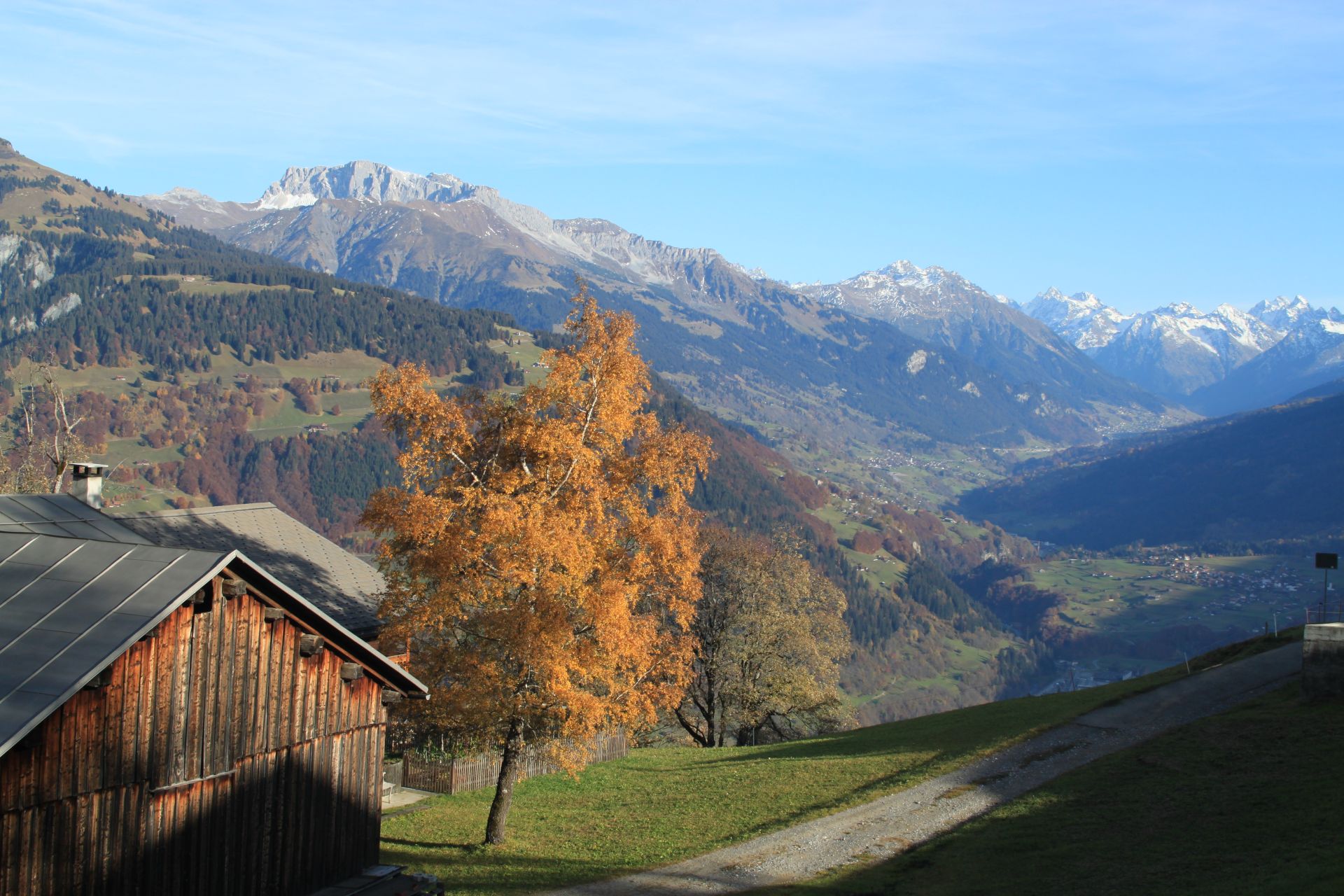 Urlaub-mit-Hund: Tolle Wandermöglichkeiten - Landgasthof Sommerfeld