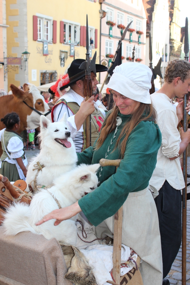 Ferienhof Sommerberg Ausflüge mit Hund Rothenburg ob der Tauber