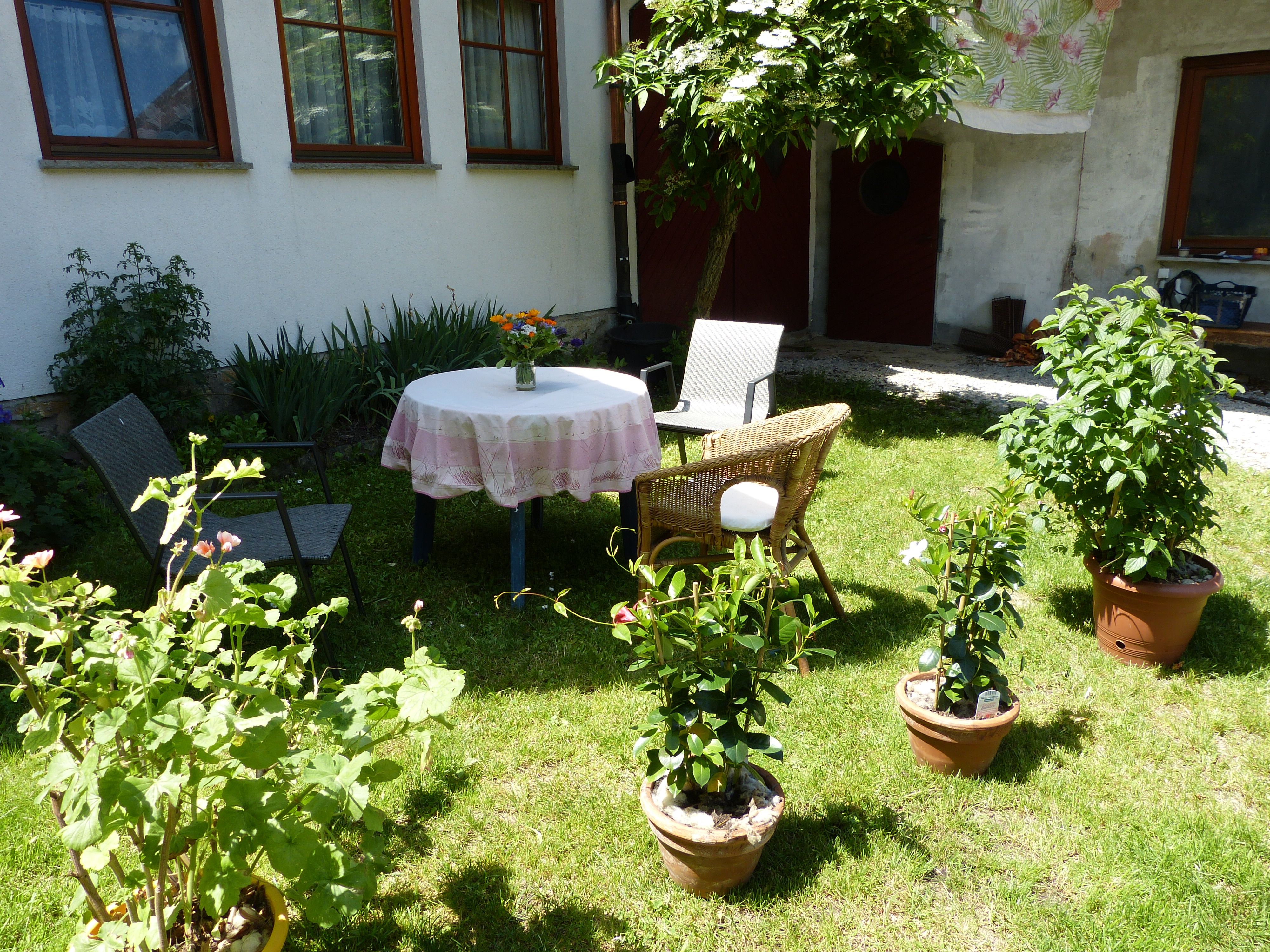 Urlaub-mit-Hund: Terrasse/Essplatz vorne - Ferienhof Sommerberg