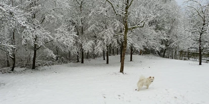 Hundehotel - Umgebungsschwerpunkt: am Land - Castell - Garten im Schnee - Ferienhof Sommerberg