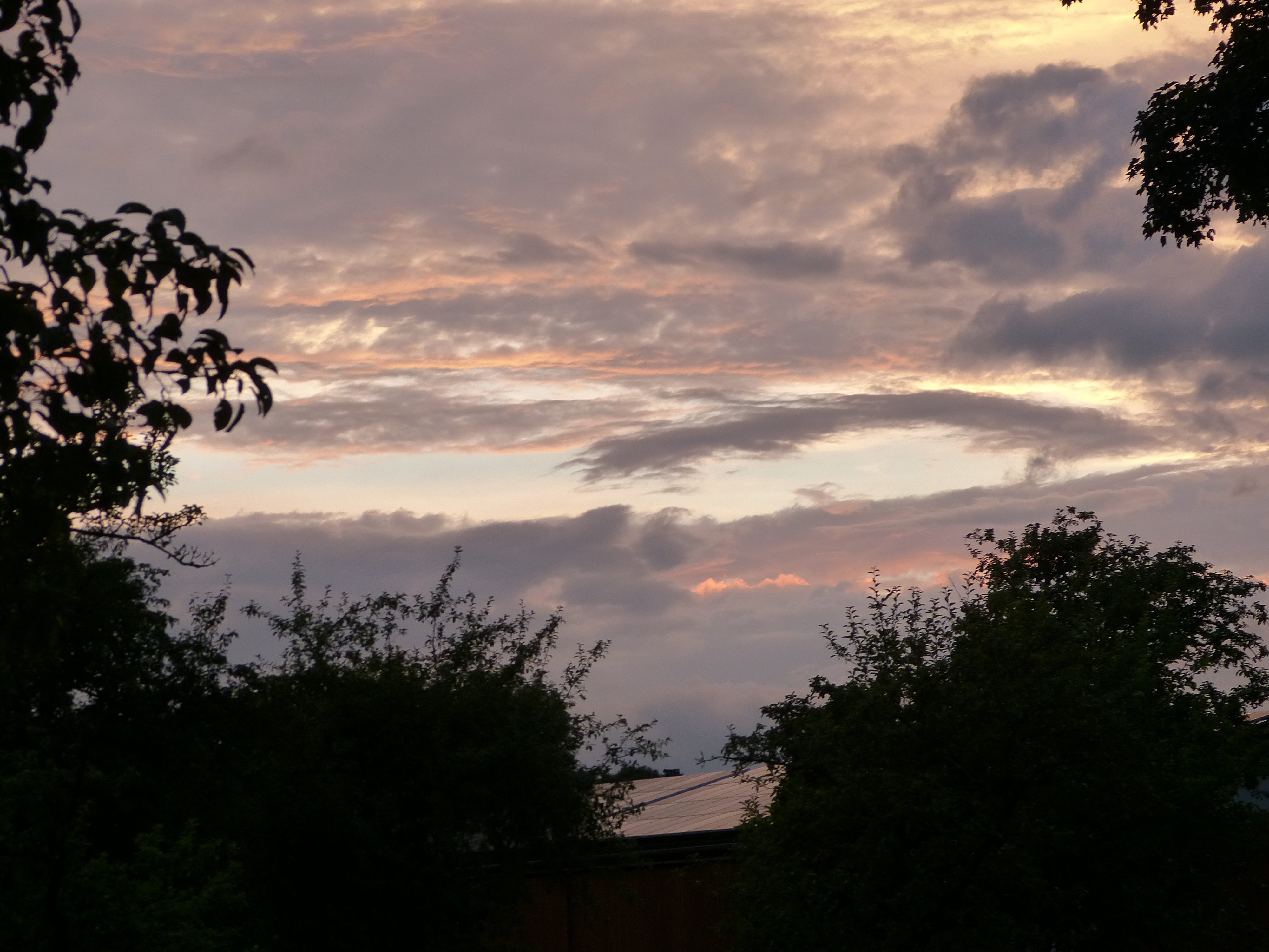 Urlaub-mit-Hund: Abendstimmung - Ferienhof Sommerberg