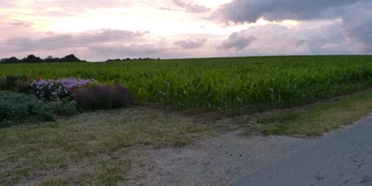 Hundehotel - Umgebungsschwerpunkt: am Land - Castell - Spaziergang - Ferienhof Sommerberg
