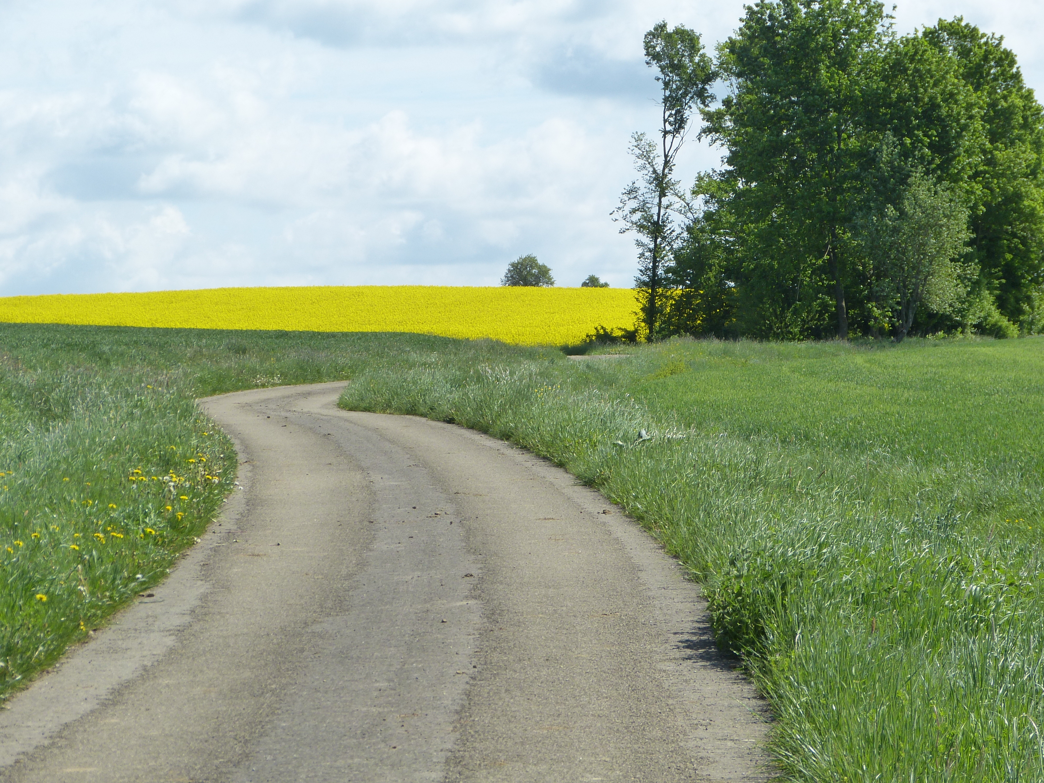 Urlaub-mit-Hund: Hofrunde - Ferienhof Sommerberg