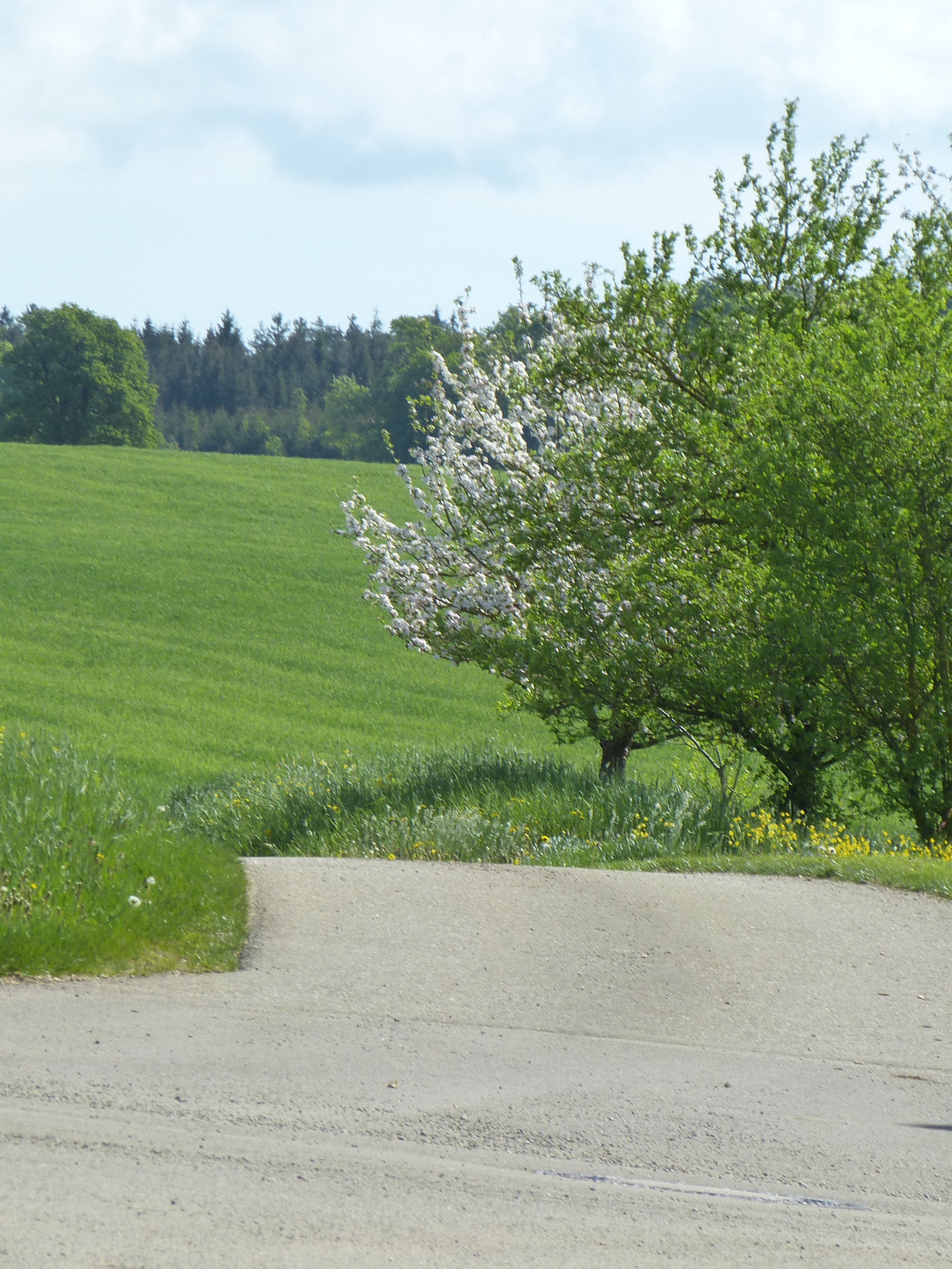 Urlaub-mit-Hund: Hofrunde - Ferienhof Sommerberg