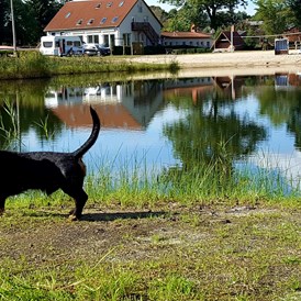 Urlaub-mit-Hund: Ferienpark Mecklenburg