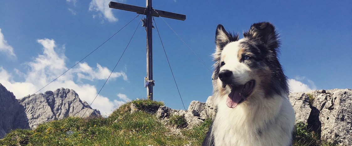 Urlaub-mit-Hund: Wohlfühlzone für die Fellnasen - Hotel Martellerhof
