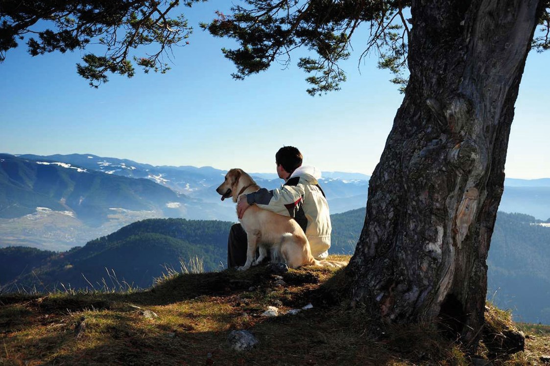 Urlaub-mit-Hund: Wohlfühlzone für die Fellnasen - Hotel Martellerhof
