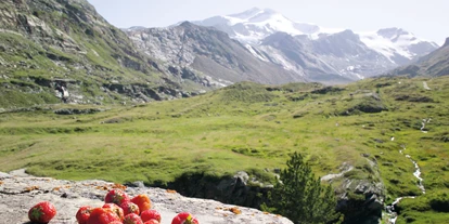 Hundehotel - Truden im Naturpark - Das Erdbeertal - Hotel Martellerhof