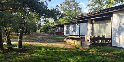 Hundehotel - Verpflegung: Halbpension - Sachsen - Nummer 1 bis 3 auf unserer Insel - Kleine Freiheit- Erholung am Quitzdorfer See