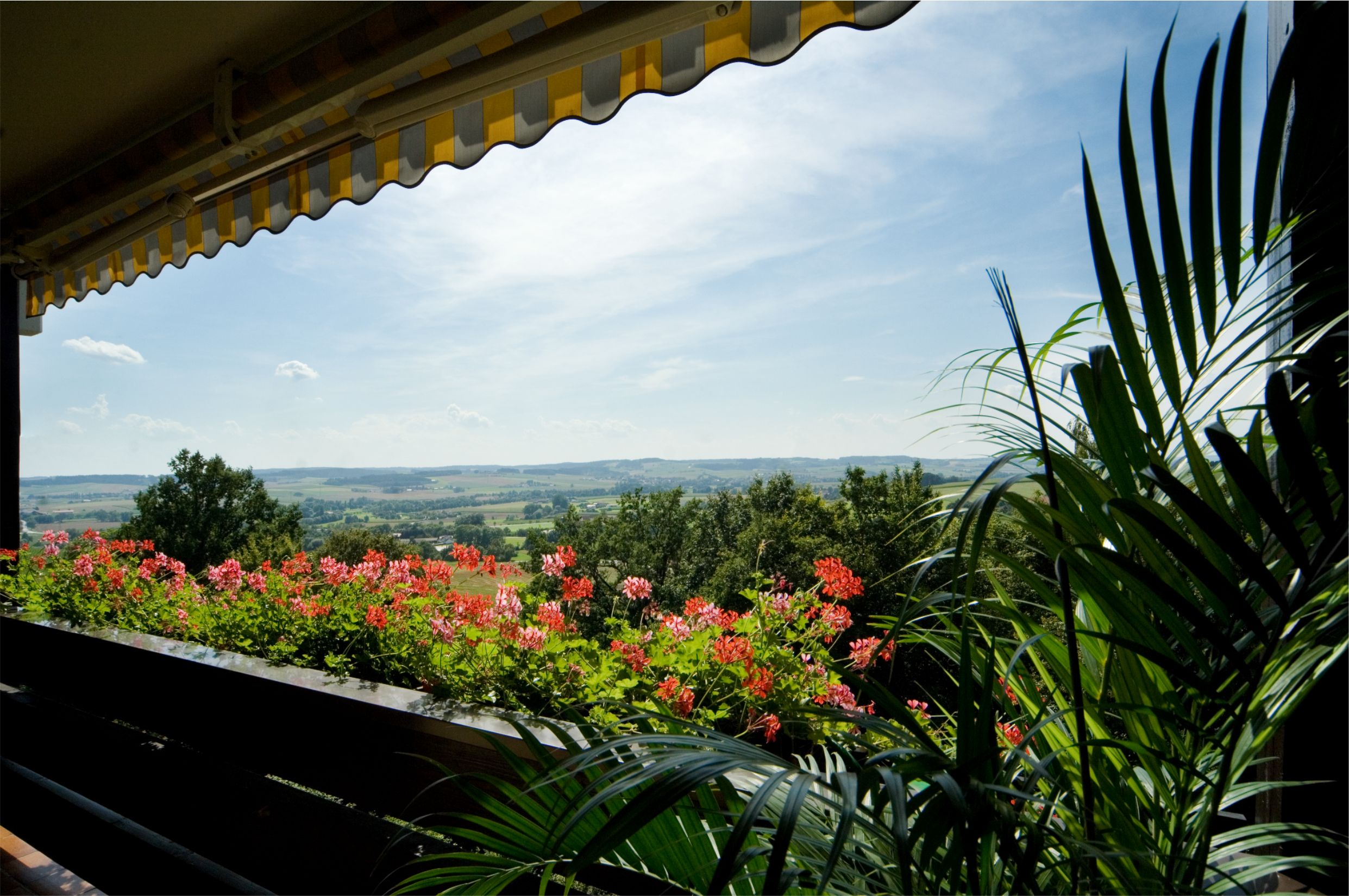Hundehotel - Ostbayern - Appartementhotel Griesbacher Hof