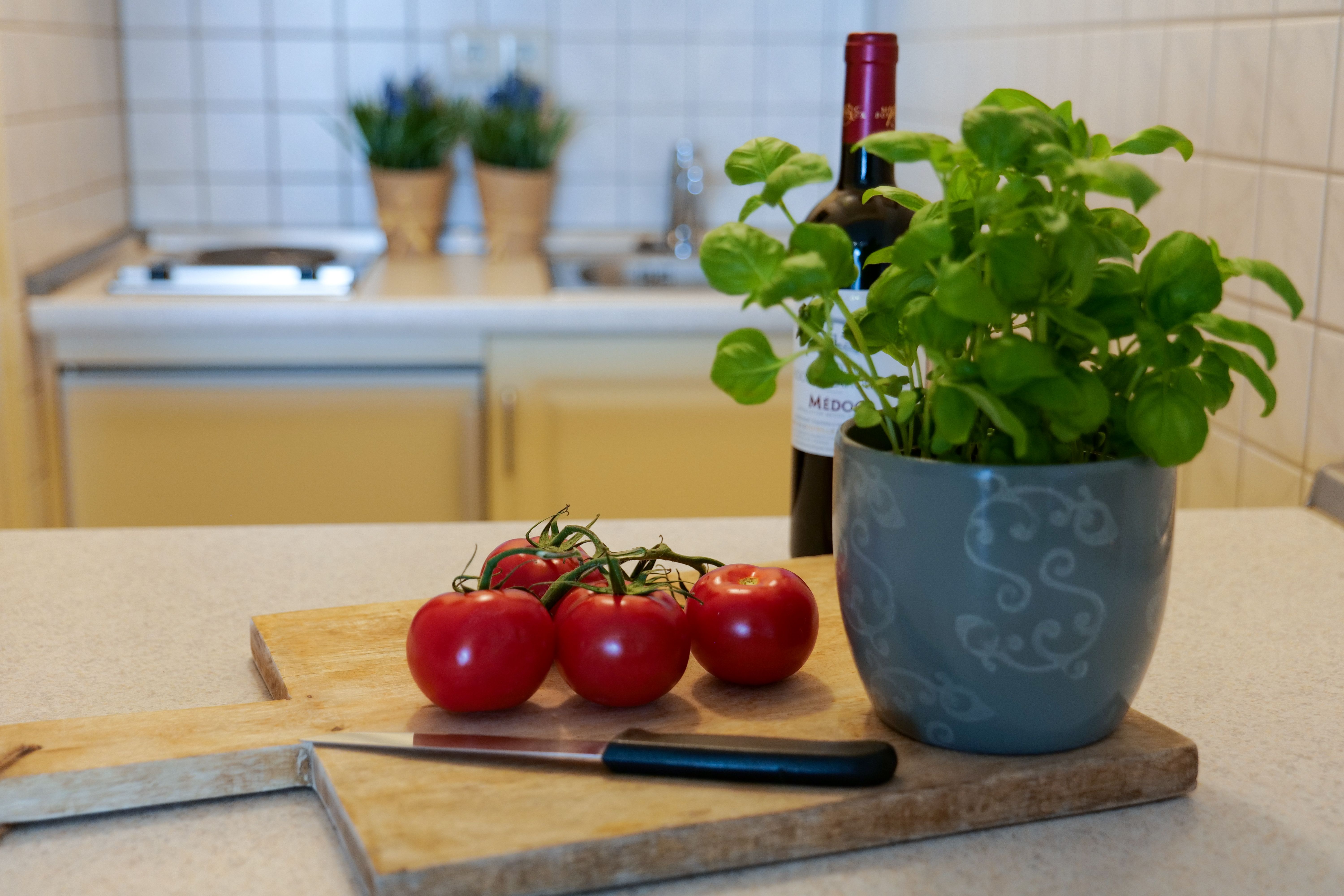 Hundehotel - Ostbayern - Appartementhotel Griesbacher Hof