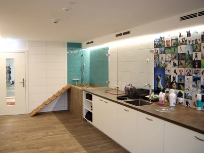 Hundehotel - Pools: Schwimmteich - Hundewaschsalon - Hotel Magdalena****