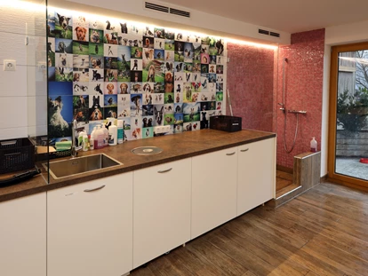 Hundehotel - Pools: Schwimmteich - Hundewaschsalon - Hotel Magdalena****