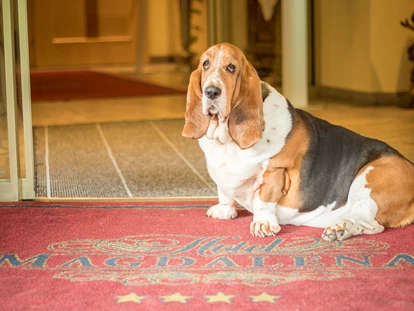 Hundehotel - Pools: Schwimmteich - Urlaub für Mensch und Hund - Hotel Magdalena****