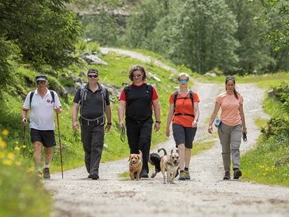 Hundehotel - Pools: Schwimmteich - Wanderungen mit Hund - Hotel Magdalena****