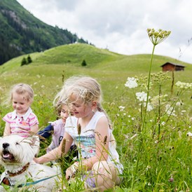 Urlaub-mit-Hund: Ausflüge für die ganze Familie - Familotel Kaiserhof****