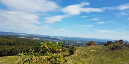 Hundehotel - Unterkunftsart: Hotel - Göttingen - Blick vom Dörnberg - Waldhotel Schäferberg