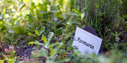Hundehotel - Unterkunftsart: Hotel - Göttingen - Hauseigener Kräutergarten...immer frische und gesunde Würze an unseren Speisen. - Waldhotel Schäferberg
